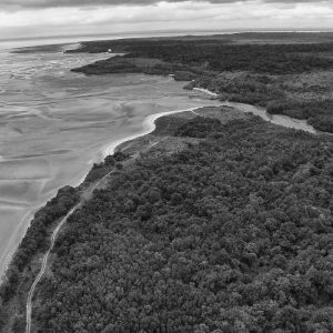 Côte du Parc National d'Akanda