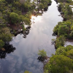 Beau couché de soleil sur le parc de Loango