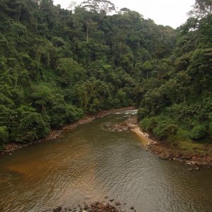 Rivière dans le Parc National de Birougou