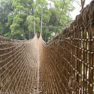 Le spéctaculaire pont en liane de Poubara qui traverse un court d'eau