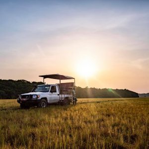 Couché de soleil en plein safari dans un le parc de Pongara