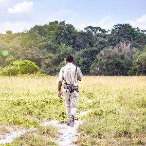 Eco-garde se baladant dans un parc national