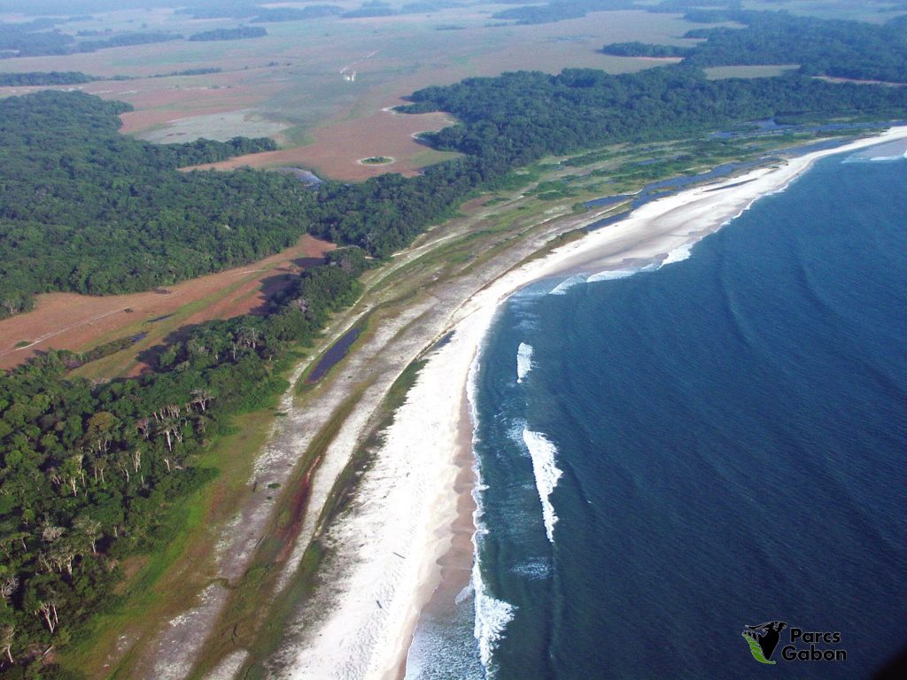 Une photo de la cote du Parc de Loango