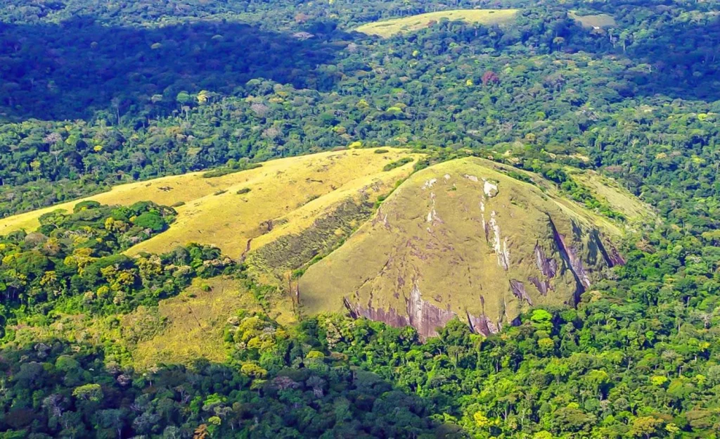 Vue de haut de la pleine de Minkébé